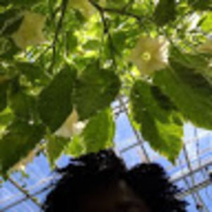 Meet your Posher, Jada